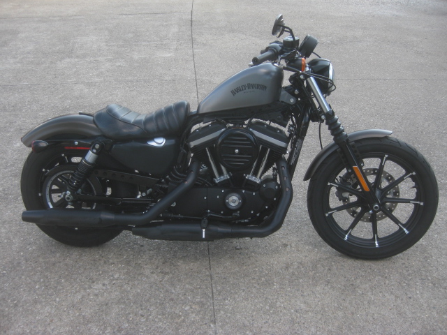 2021 Harley Davidson  XL883N Sportster Iron